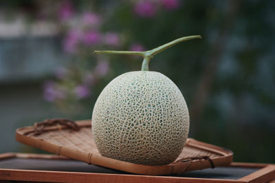 Close-up of apple on table