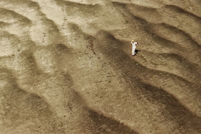 High angle view of people walking on sand