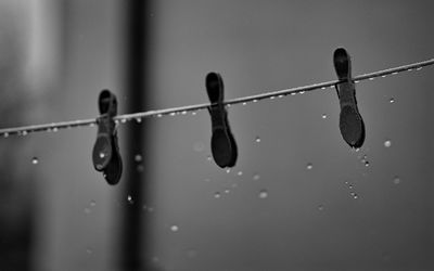 Close-up of water drops on plant