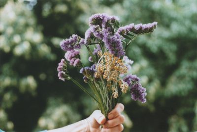 Close-up of hand holding purple flowers bouquet