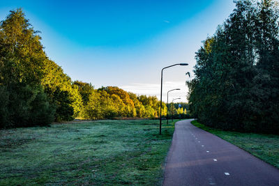 Road by trees against sky