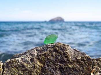 Close-up of rock by sea against clear sky