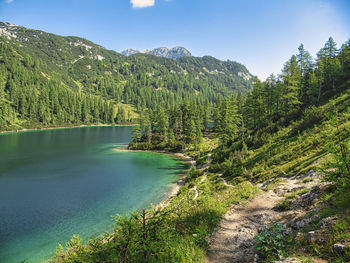 Scenic view of lake amidst trees in forest against sky