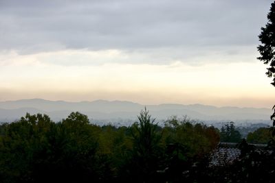 Scenic view of trees and mountains against sky