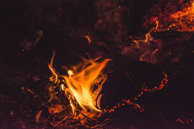 Close-up of bonfire at night