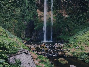 Scenic view of waterfall in forest