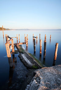 Wooden posts on beach against clear sky