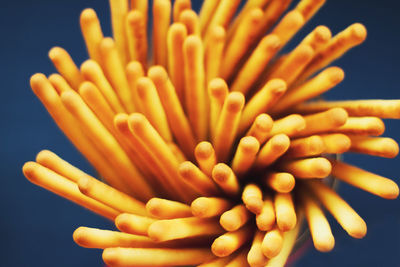 Close-up of yellow flower