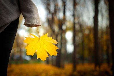 Midsection of man holding autumn leaf