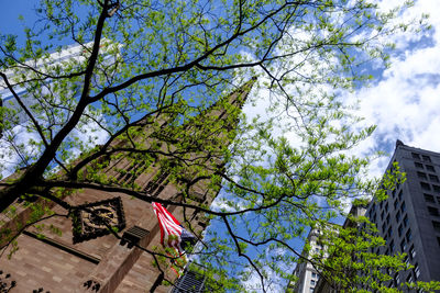 Low angle view of trees and building against sky