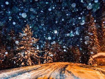 Trees on snow covered landscape against sky at night