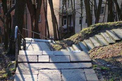 Footpath amidst trees and buildings in city