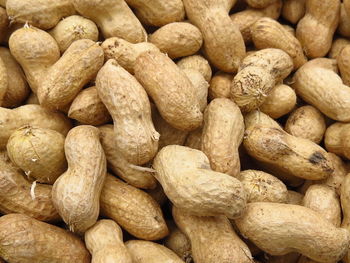 Peanut is an important economic crop