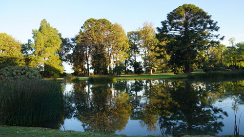 Reflection of trees in lake against sky