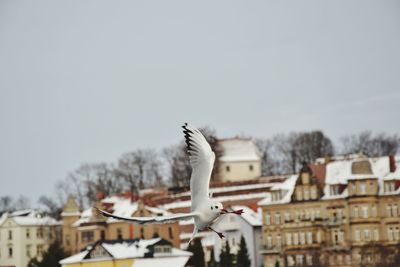 Bird perching on roof against sky