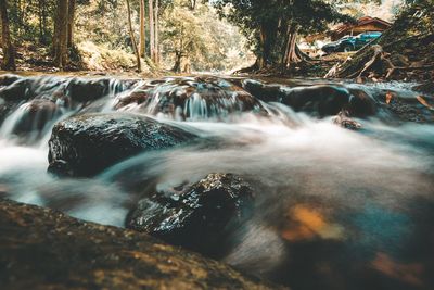 Scenic view of waterfall in forest