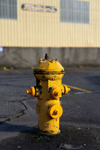 Close-up of fire hydrant on street