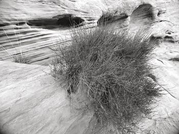 Close-up of water at beach