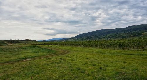 Scenic view of green landscape and mountains against sky