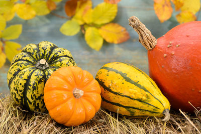 Beautiful arrangement of autumn decoration