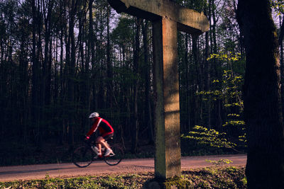 Man riding bicycle in forest