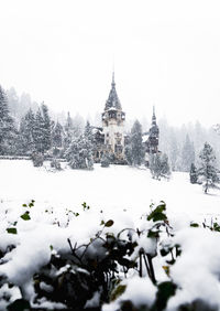 Snow covered plants and buildings against sky