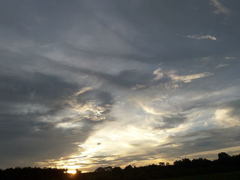 Low angle view of silhouette trees against sky during sunset