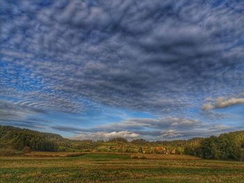 Scenic view of agricultural field against sky