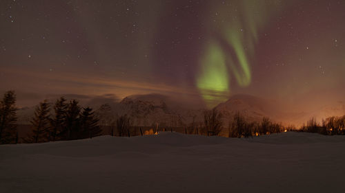 Scenic view of snowcapped landscape against sky at night with the northern lights