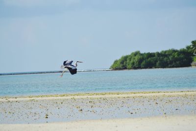 Man surfing in sea against clear sky