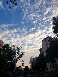 Low angle view of trees and buildings against sky