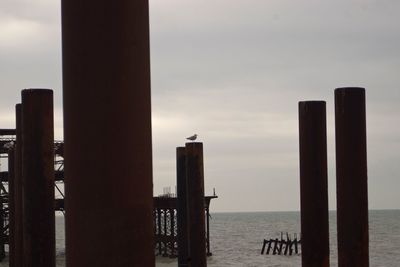 Bird perching on west pier at sea against sky