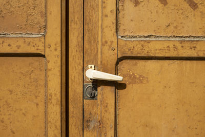 Door handle in vintage door.