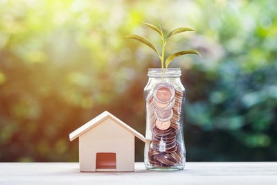 Close-up of plant in jar on table against building