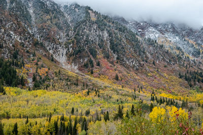 Scenic view of landscape against sky during autumn
