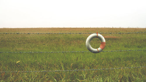 Grass on field against clear sky