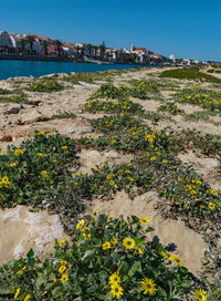 Scenic view of sea by buildings against sky