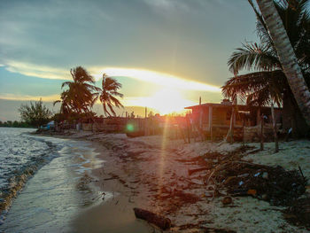 Palm trees on beach against sky during sunset