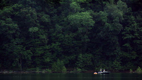 Scenic view of lake against trees at forest