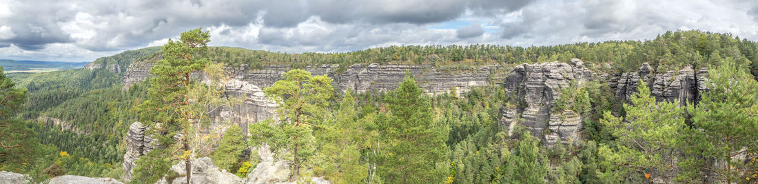 Panoramic view of trees on landscape against sky