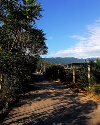 Empty road along trees and plants against sky