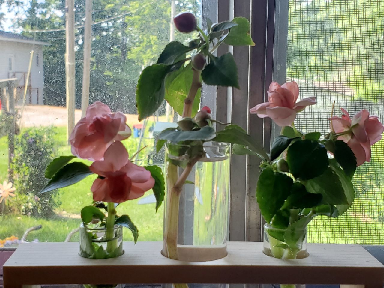 CLOSE-UP OF FLOWER VASE ON GLASS WINDOW