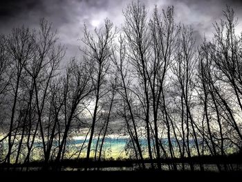 Low angle view of silhouette bare trees against sky