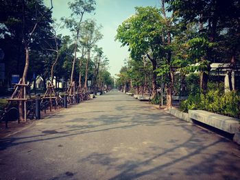 Empty road along trees