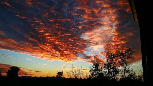 Silhouette of trees at sunset