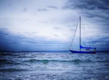 Sailboat sailing on sea against sky