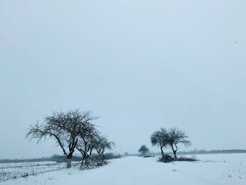 Trees on snow covered field against sky
