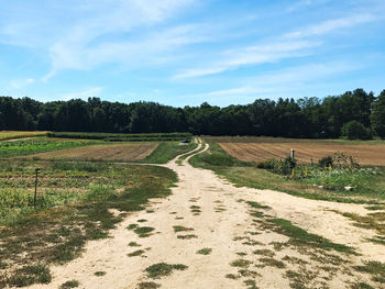 Surface level of dirt road along countryside landscape