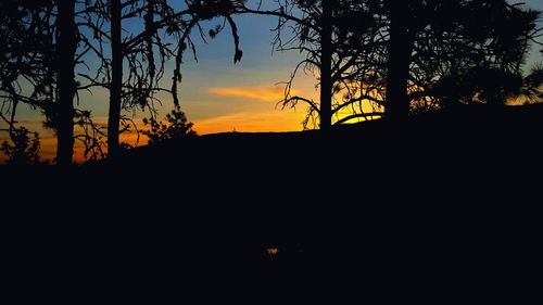 Silhouette trees at sunset