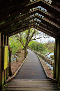 View of bridge in forest